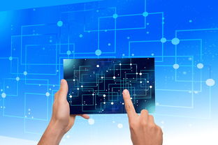 乐鱼（中国）体育官方网站-中国篮球教练员执教能力提升路径研究，中国篮球教练员岗位培训a级教程书籍