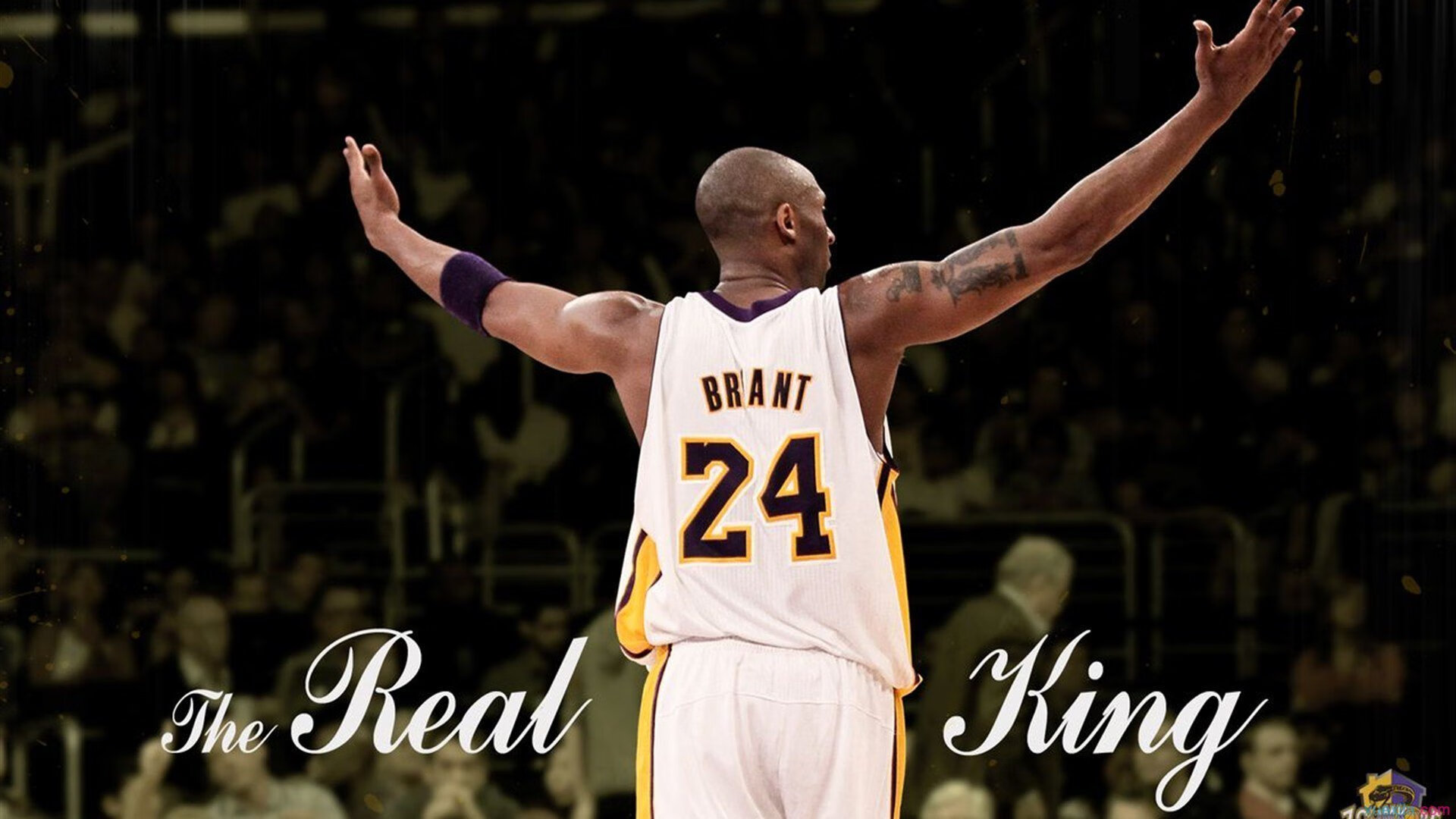 科斯泳池内外双重突破赢得掌声